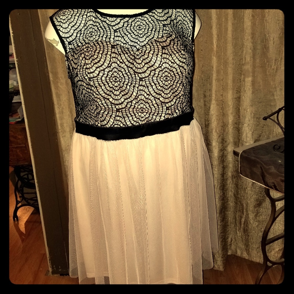 Blush Midi dress with black lace bodice